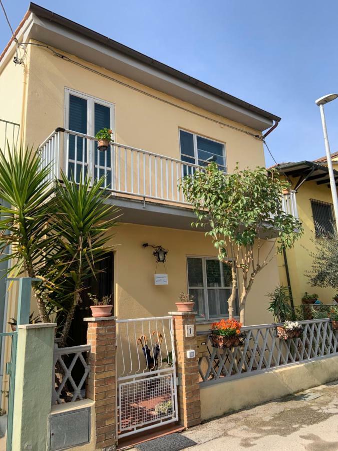 Il Giardino Segreto Apartment Pisa Exterior photo