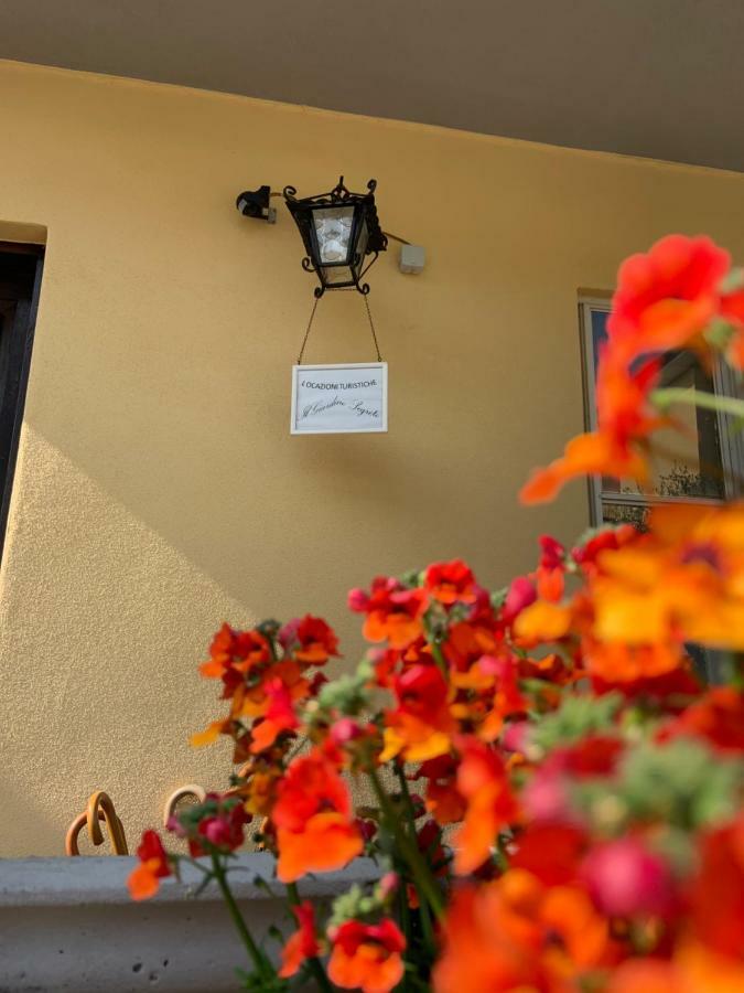 Il Giardino Segreto Apartment Pisa Exterior photo